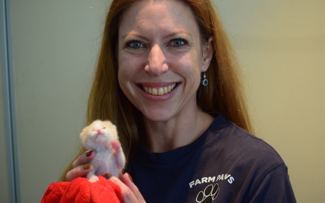 South Africa’s pet sterilisation crisis: Let’s change the trajectory in celebration of World Spay Day